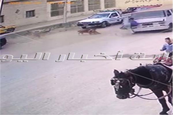 الطالب المتوفي