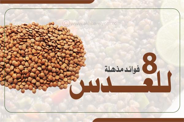 إنفوجراف| عمره 8 آلاف عام.. العدس وجبة مصرية منذ عهد «الفراعنة» فوائدها «مذهلة»