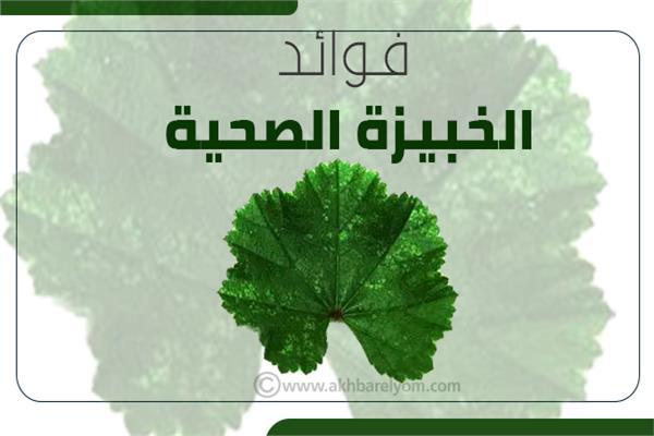إنفوجراف | فوائد الخبيزة الصحية 