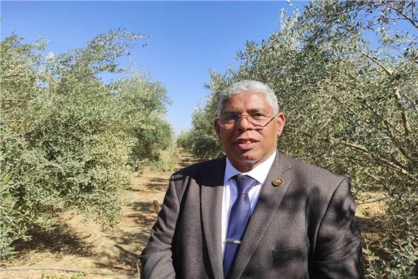 النائب الوفدي محمد عوض السيد