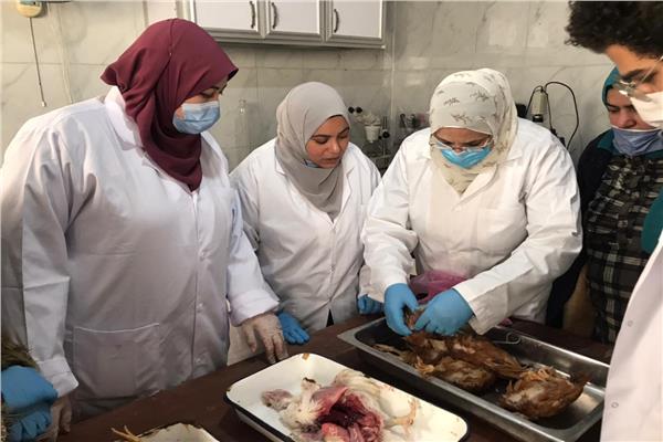 خلال دورة معهد صحة الحيوان حول تشخيص أمراض الدواجن