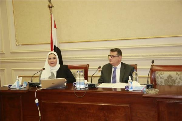 وزيرة التضامن الاجتماعي