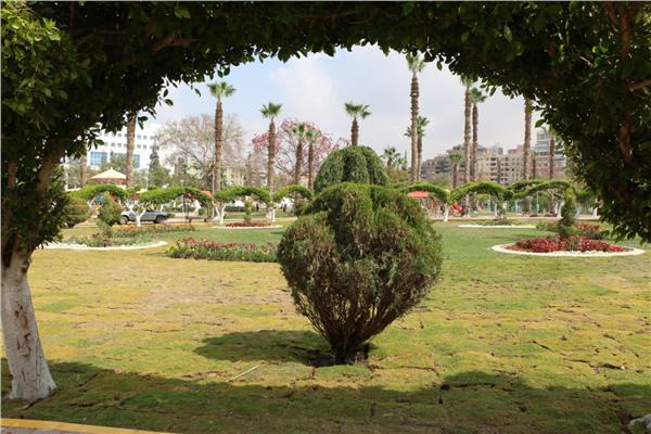 حديقة الطفل