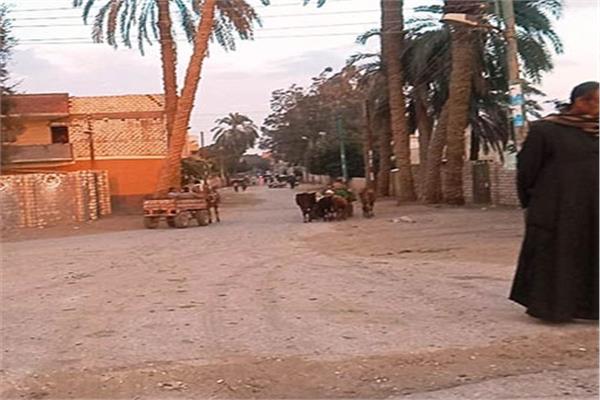 قرية كوم الزهير