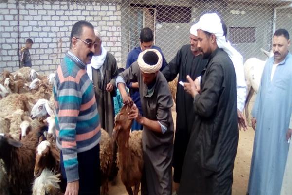 صورة من القافلة