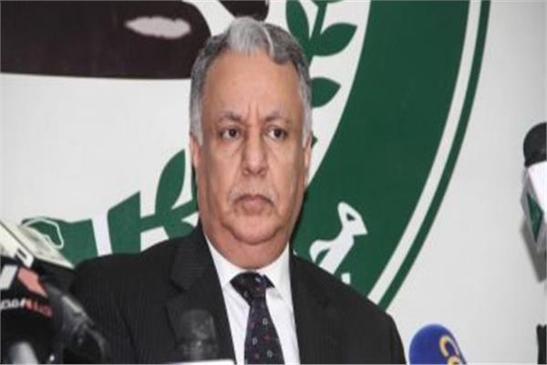 السفير محمد ربيع