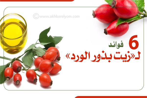 إنفوجراف| «كنز لجمال البشرة».. 6 فوائد لـ«زيت بذور الورد»