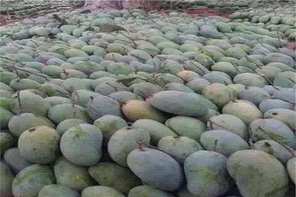صورة توضيحية