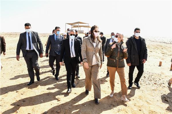محمية الغابة المتحجرة 