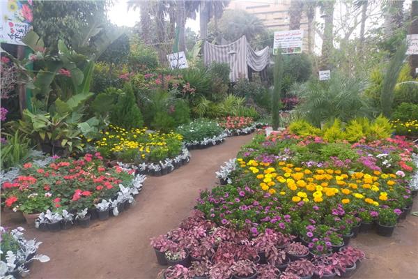 معرض زهور الربيع