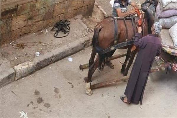 صورة ارشيفية