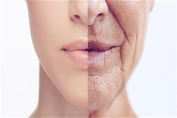 صورة موضوعية 