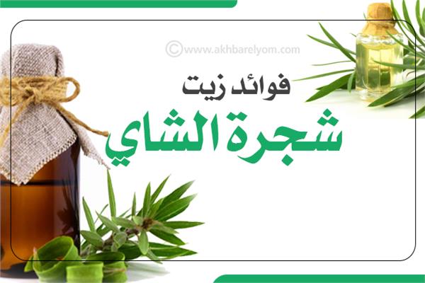 إنفوجراف | فوائد زيت «شجرة الشاي»