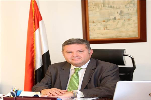وزير قطاع الأعمال