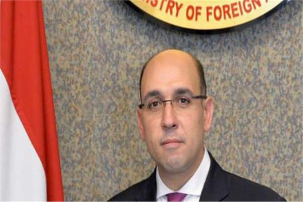السفير أحمد حافظ المتحدث باسم وزارة الخارجية المصرية