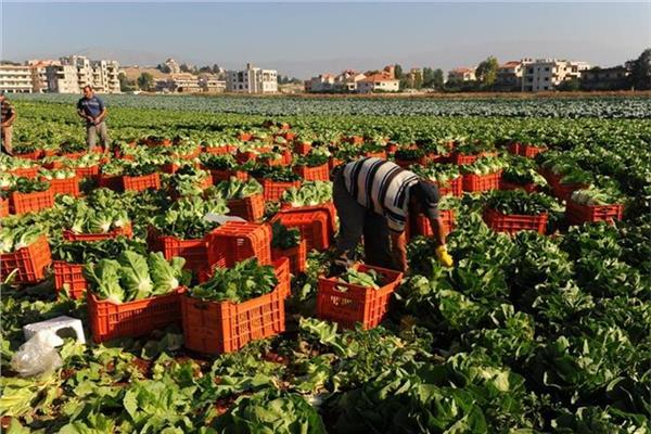 زيادة الحاصلات الزراعية