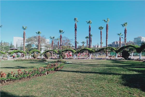 صورة توضيحية