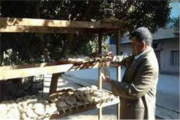 تحرير 91 محضر مخالفة لمخابز بلدية فى الاسكندرية