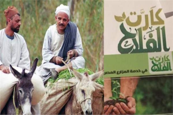 منظومة كارت الفلاح
