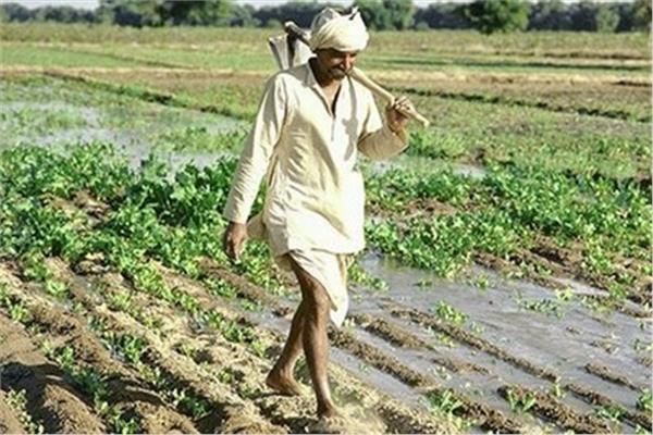  تسليم كارت الفلاح بنسبة 50% للمزارعين بالقليوبية