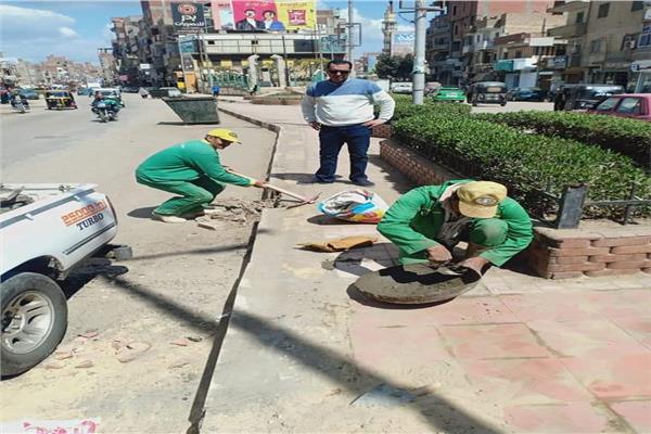 تنسيق جمالي بقرية الباجور