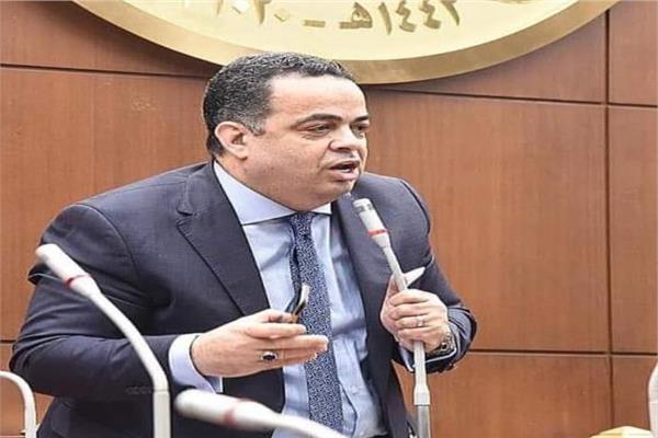 النائب عصام هلال عفيفي، عضو مجلس الشيوخ