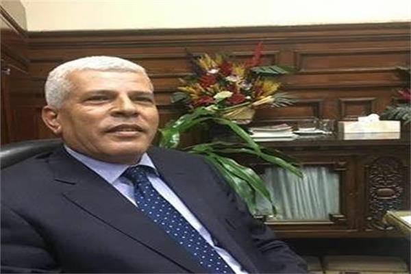 الدكتور سيد خليفة