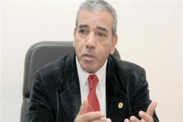 الدكتور عباس شراقي أستاذ الجيولوجيا والموارد المائية بجامعة القاهرة