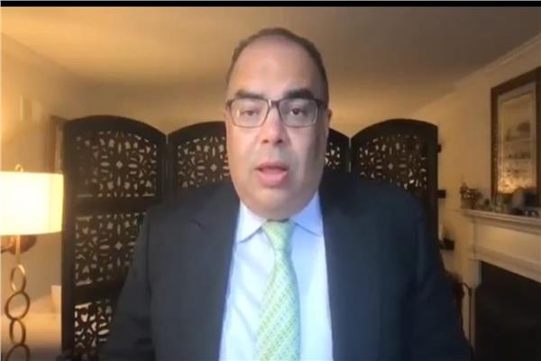 الدكتور محمود محيى الدين