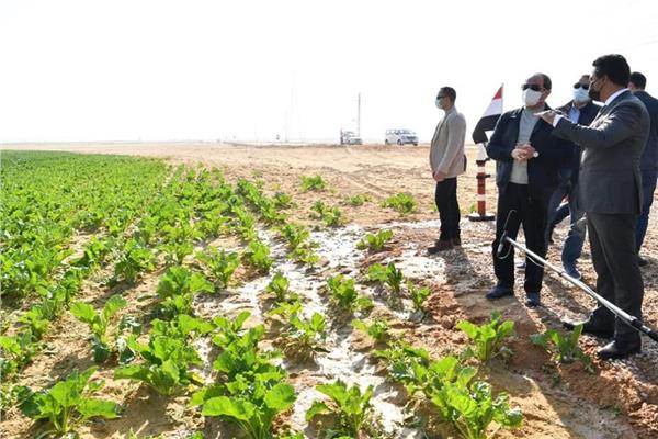 الرئيس عبد الفتاح السيسي