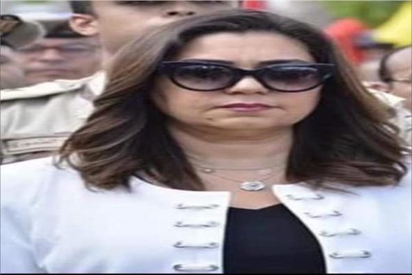 محافظ دمياط