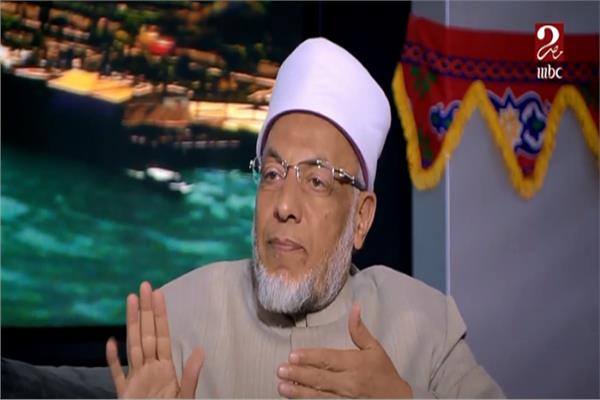  الدكتور سعيد عامر