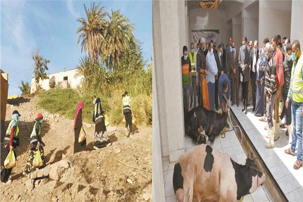  محافظ  الدقهلية يشهد عمليات ذبح وتجهيز اللحوم / القائمون على مبادرة خير بلدنا 