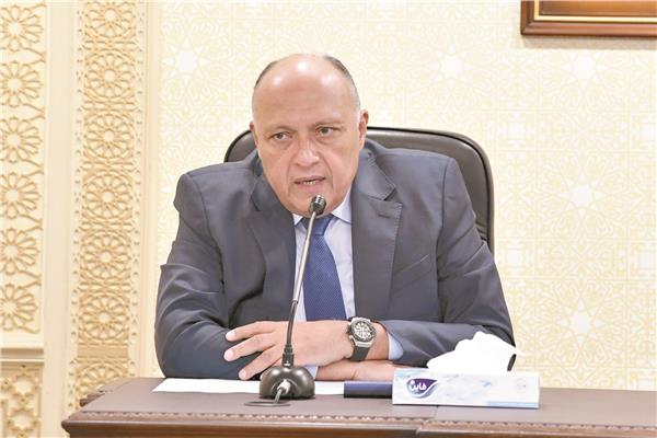 سامح شكرى وزير الخارجية