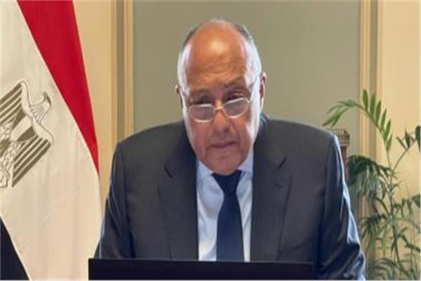 سامح شكرى وزير الخارجية