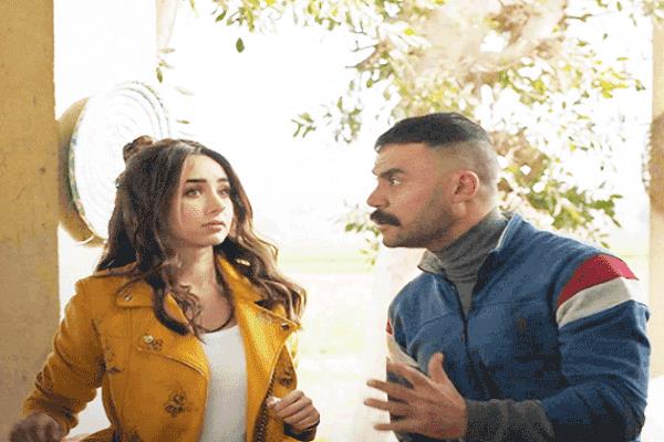  محمد إمام وهنا الزاهد فى «النمر»