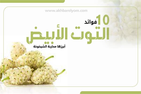 إنفوجراف | 10 فوائد لـ«التوت الأبيض».. أبرزها محاربة الشيخوخة