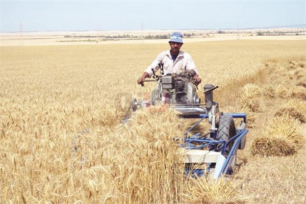 الزراعة أحد محاور التنمية في سيناء