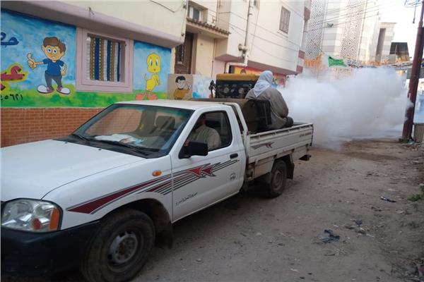 حملات مكبرة لمكافحة البعوض والذباب بمدن ومراكز البحيرة 