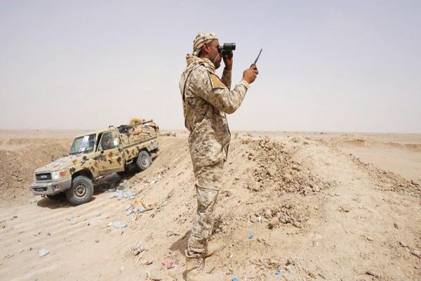  عنصر من الجيش اليمني فى مأرب     