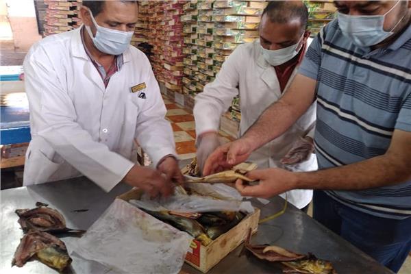 جانب من الرنجة الغير صالحه