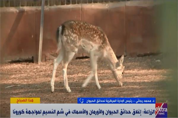 صورة من البرنامج 