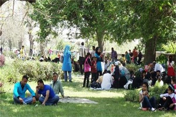 طقوس الإحتفال بعيد الربيع بالمنيا