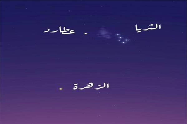 أرشيفية