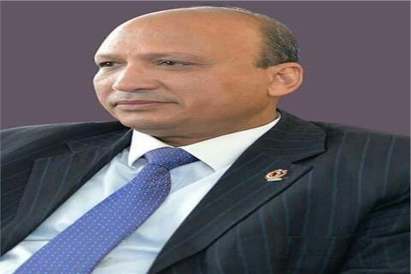 نائب رئيس جامعة جنوب الوادي 