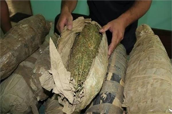 ضبط كمية من بانجو بحوزة 3 متهمين  فى أسوان 