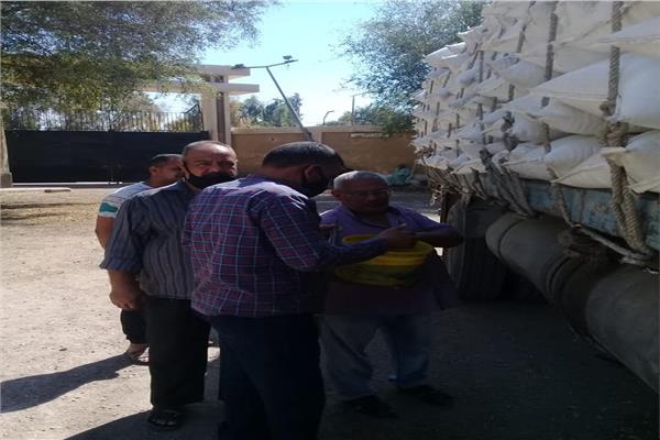 استمرار العمل بمحطات إعداد التقاوى على مستوى الجمهورية 