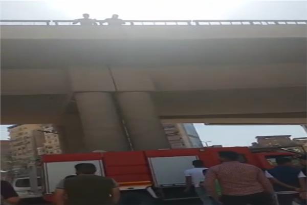  الحماية المدنية تنقذ قطة من اعلي كبري بالمحلة