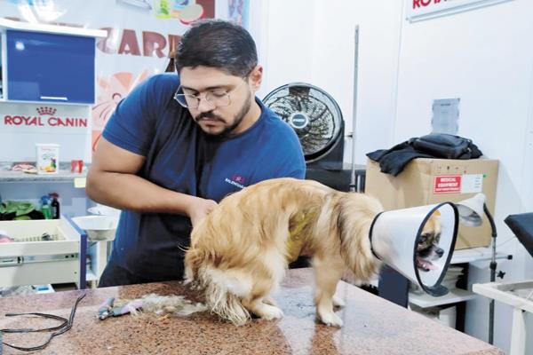 العناية الصحيحة بالحيوانات الأليفة