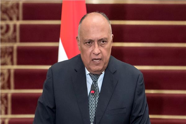  وزير الخارجية سامح شكري
